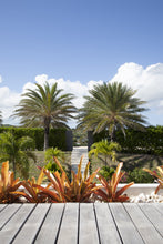 Carica l'immagine nel visualizzatore della galleria, Cittadinanza di Antigua e Barbuda tramite acquisizione di terreni - AAAA ADVISER LLC